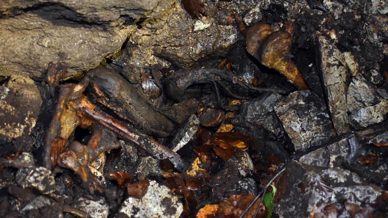 kraško brezno Kočevski rog jama posmrtni ostanki