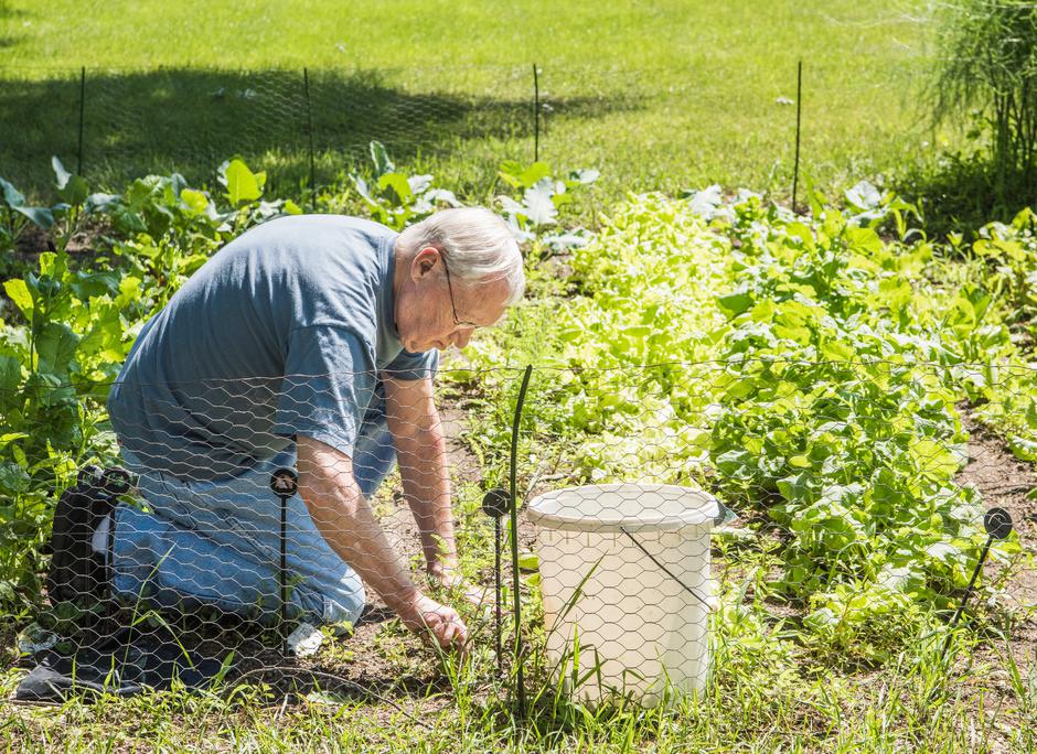 Pesticidi | Avtor: Profimedia