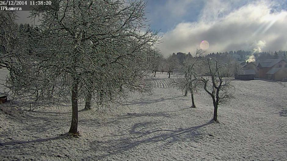 rakitna | Avtor: spletne kamere