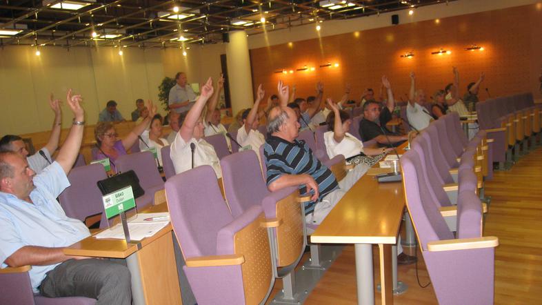 Vsi svetniki, ki so bili v dvorani, so glasovali za lokacijo v Krškem.