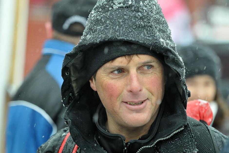 Zlata lisica Kranjska Gora mauro pini | Avtor: Anže Petkovšek