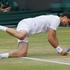 Žemlja Dimitrov Wimbledon OP Velika Britanija grand slam