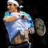 Roger Federer : David Ferrer 6:1, 6:4