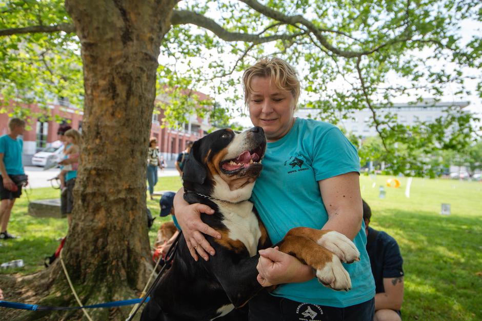 Festival za ljubitelje živali 2023 | Avtor: Anže Petkovšek