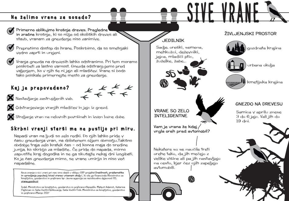 Sive vrane brošura | Avtor: Ministrstvo za kmetijstvo, gozdarstvo in prehrano