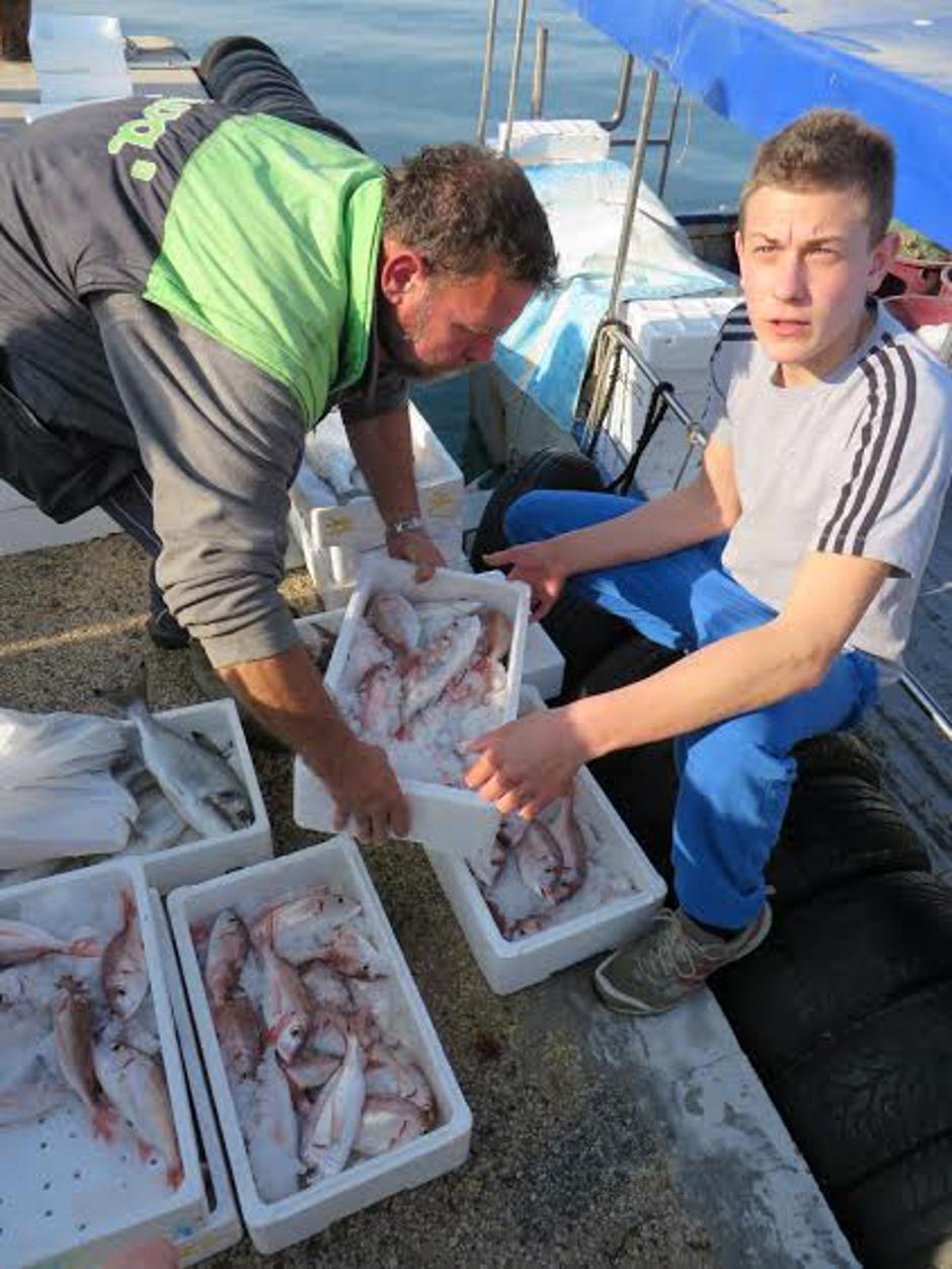 ribe | Avtor: Janez Mužič