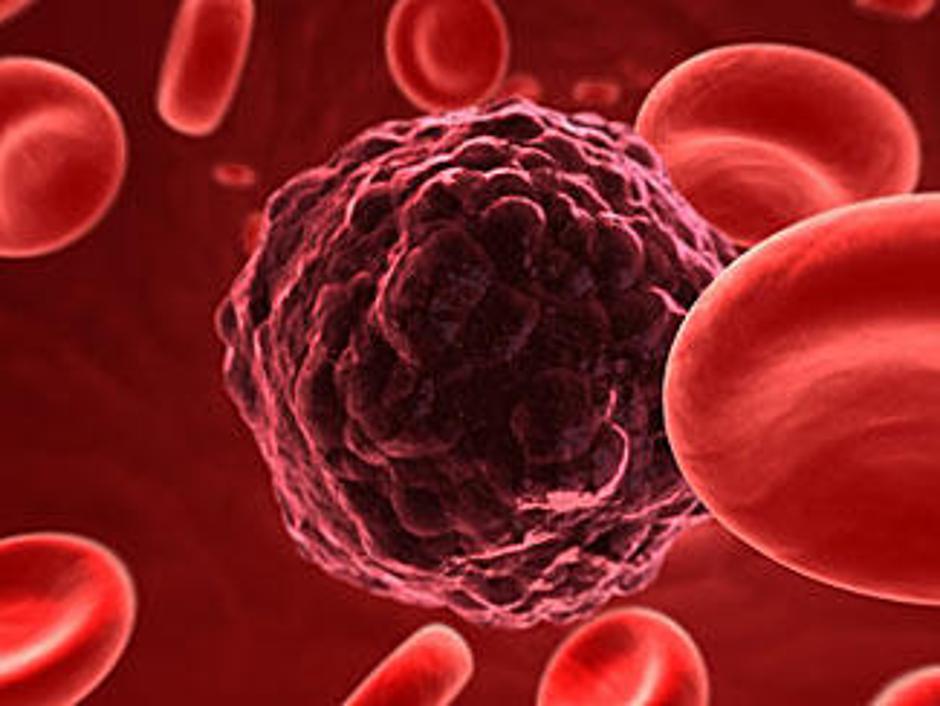 Izvorne celice mnogi vidijo kot sveti gral novih zdravstvenih terapij. (Foto: iS | Avtor: Žurnal24 main