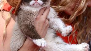 Grumy cat je bila zvezda MTV-jevih filmskih nagrad.