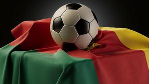 Kamerun zastava žoga