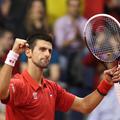 Đoković Djoković Rochus Charleroi Srbija Belgija Davisov pokal