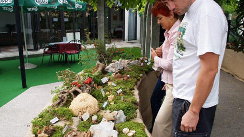 Organizatorjem razstave je kljub suši uspelo zbrati in razstaviti kar 165 vrst g