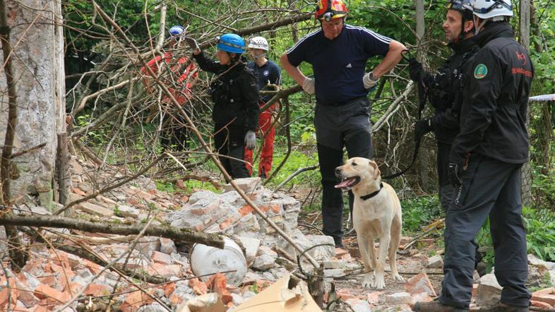 psi reševalci mednarodna vaja vodnikov reševalnih psov