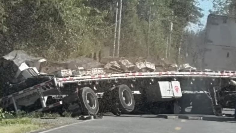 čebele tovornjak nesreča