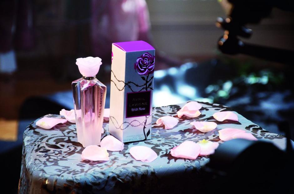 Wild Rose | Avtor: Žurnal24 main