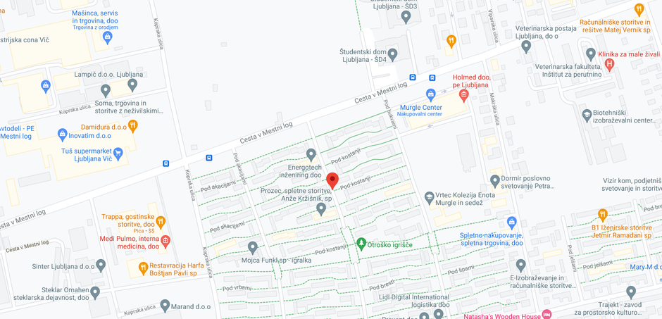Ulica Pod kostanji | Avtor: Google Maps