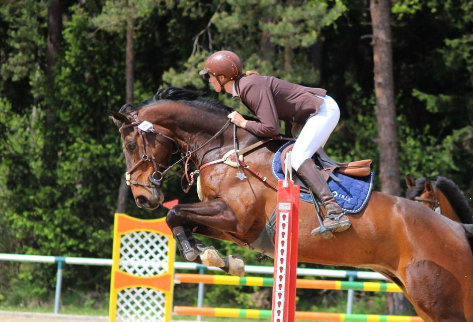 Quinntus | Avtor: Konjeniški klub Gibanje