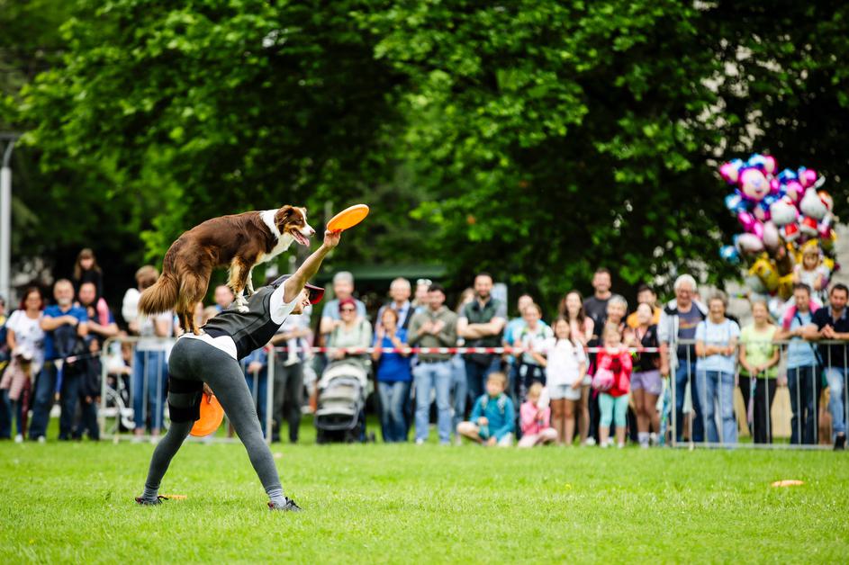 festival za ljubitelje živali