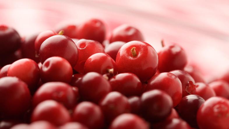 Brusnica je vsestranska zdravilna rastlina. (Foto: Shutterstock)