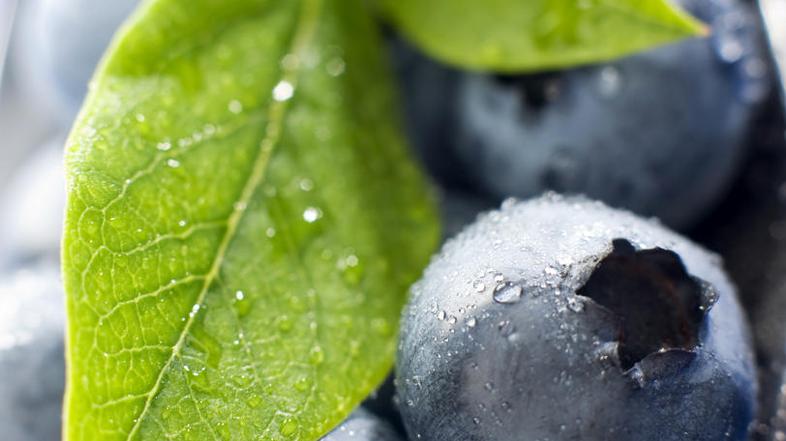 (Foto: Shutterstock)