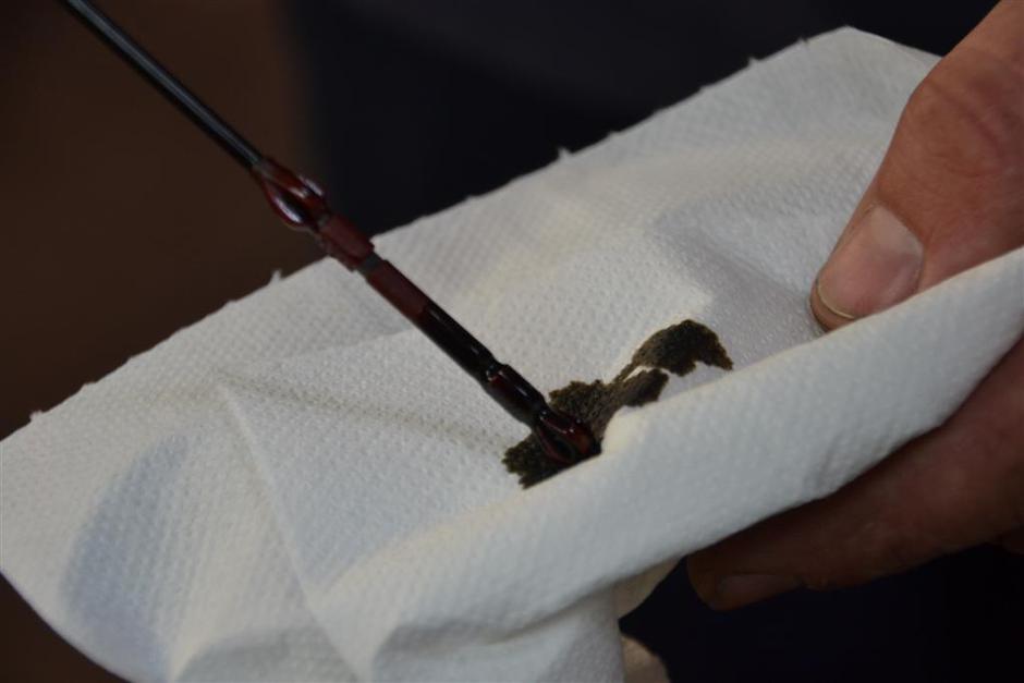 Shell motorno olje | Avtor: Žurnal24 