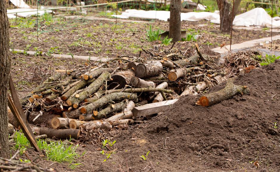 vejevje | Avtor: Profimedia