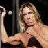 Iggy Pop