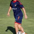 Španija Carles Puyol
