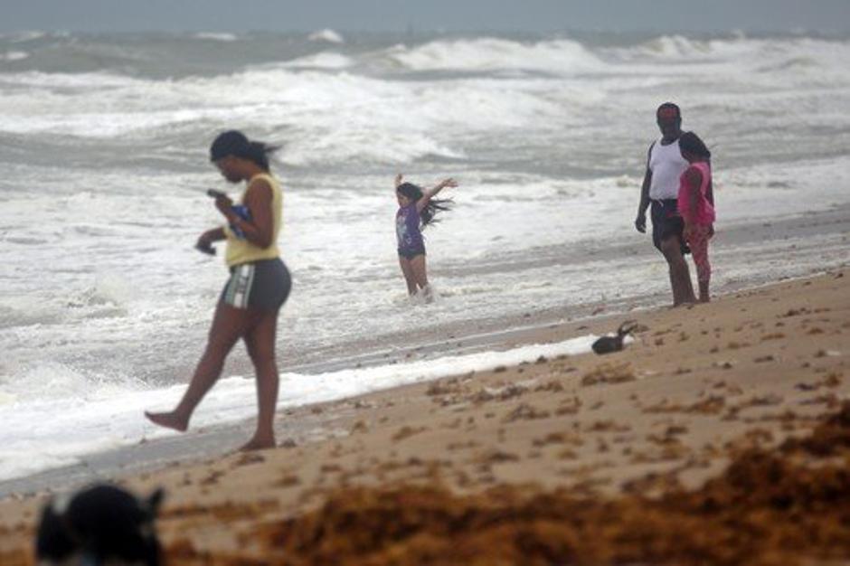 Irma | Avtor: Profimedia