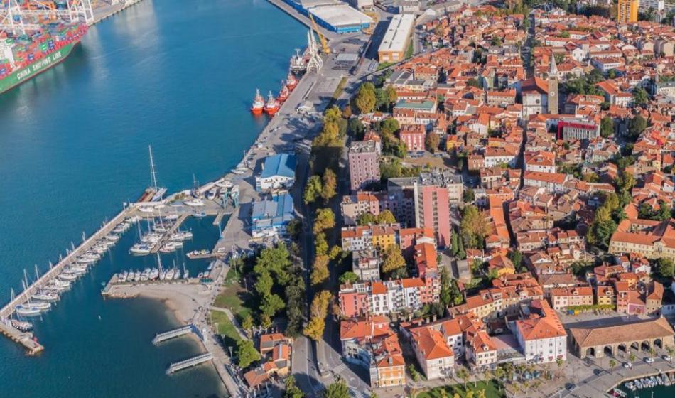 Na naši Obali prebivalce obiskujejo divje svinje
