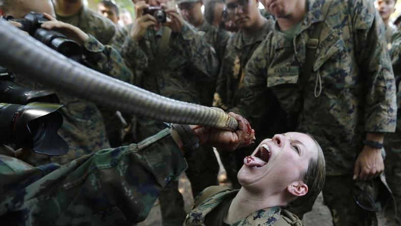 Urjenje enote Cobra Gold