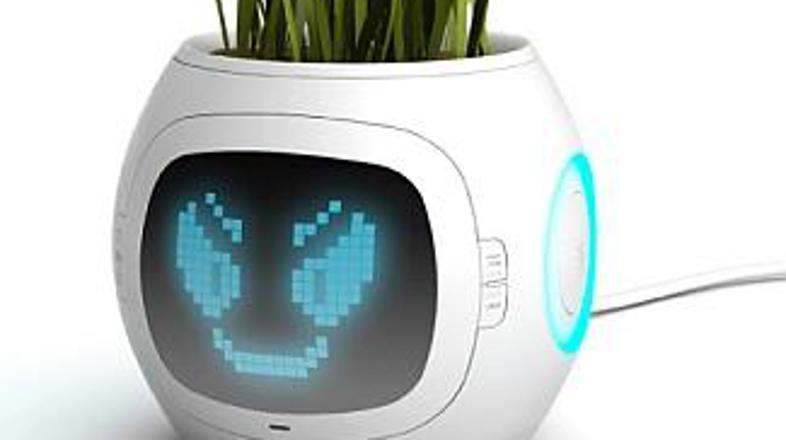 Trenutno mi nič ne manjka!