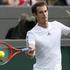 Andy Murray Wimbledon