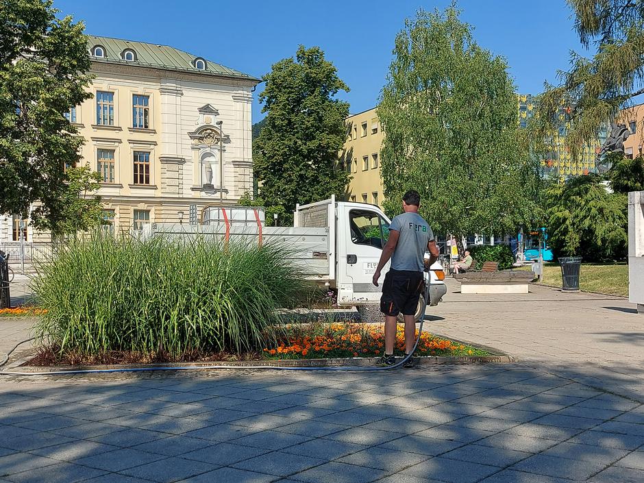 Zelenica, Kranj, zalivanje, suša | Avtor: M. Ha.