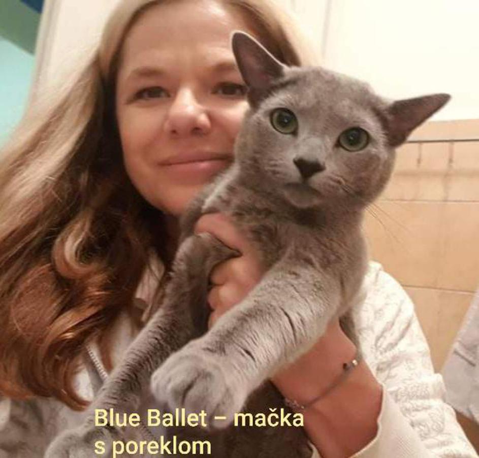 Ruska modra mačka