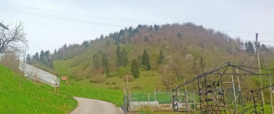 Umor-Podgora9.4.2024 | Avtor: D. M.