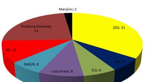 Raziskava javnega mnenja 