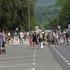festival živali 2026