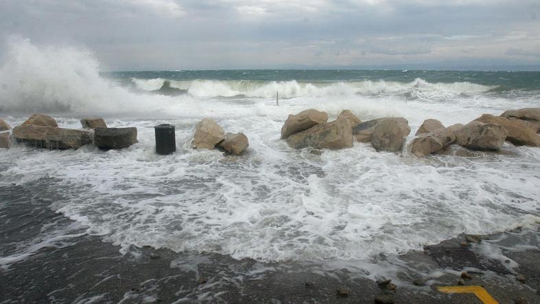 (Foto: Barbara Milavec)