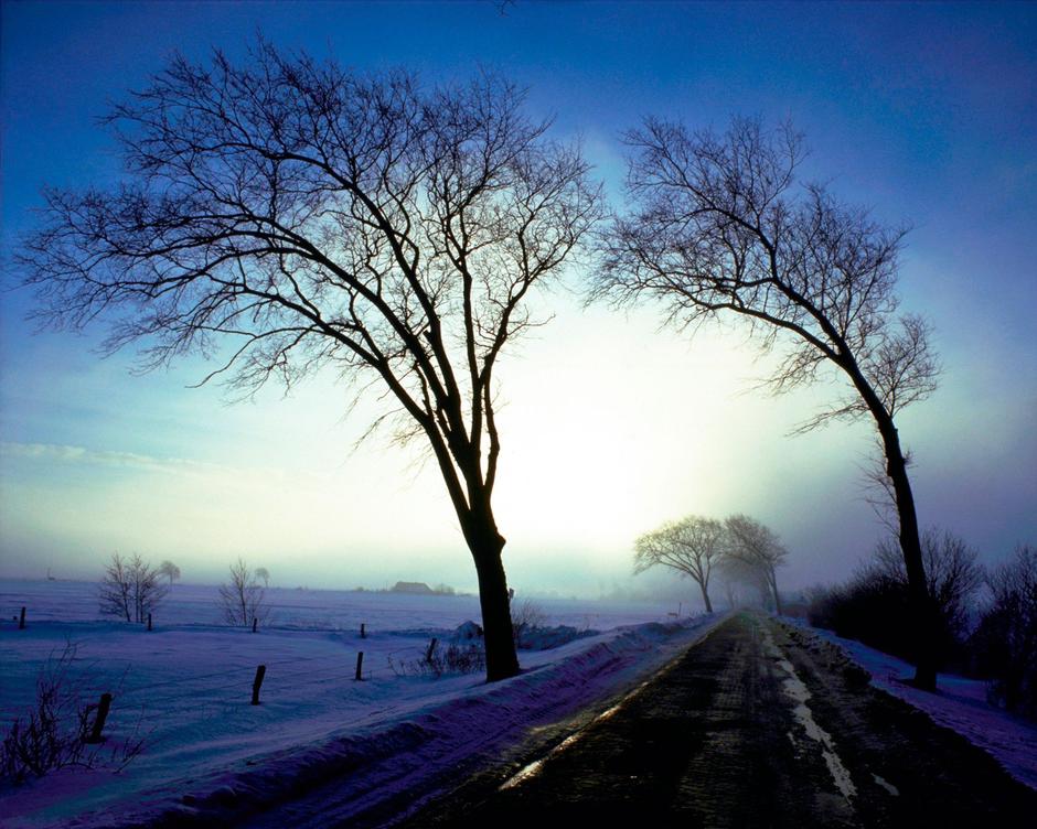 Veter | Avtor: Profimedia