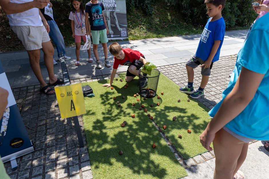 Festival za ljubitelje živali 2026 | Avtor: Cimet Studio