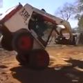 Bobcat