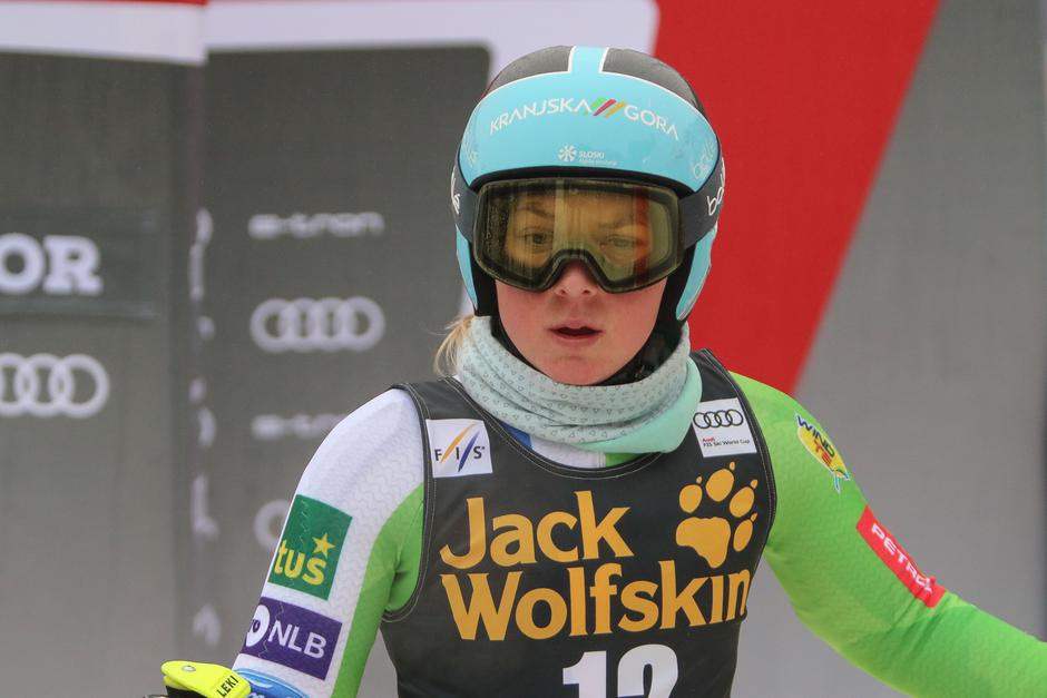 Zlata lisica | Avtor: Saša Despot