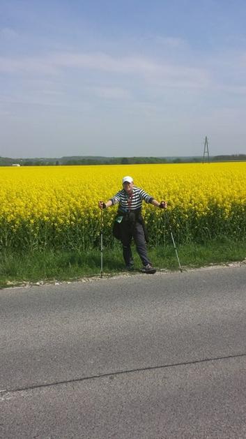 Enes Musić hoja topli obroki zbiranje denar