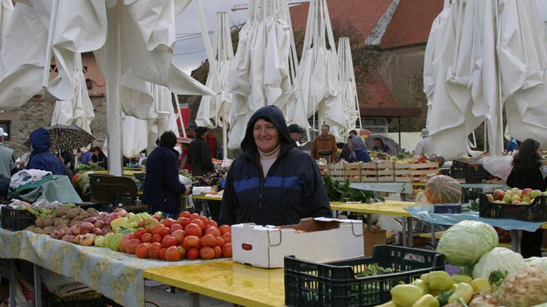 Najem polmilijonskega posojila je direktorju Šilcu predlagal njegov ekonomski sv
