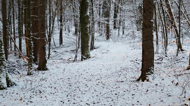 Sneg, zasnežena cesta, vreme, zima