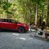 Mitsubishi Grandis