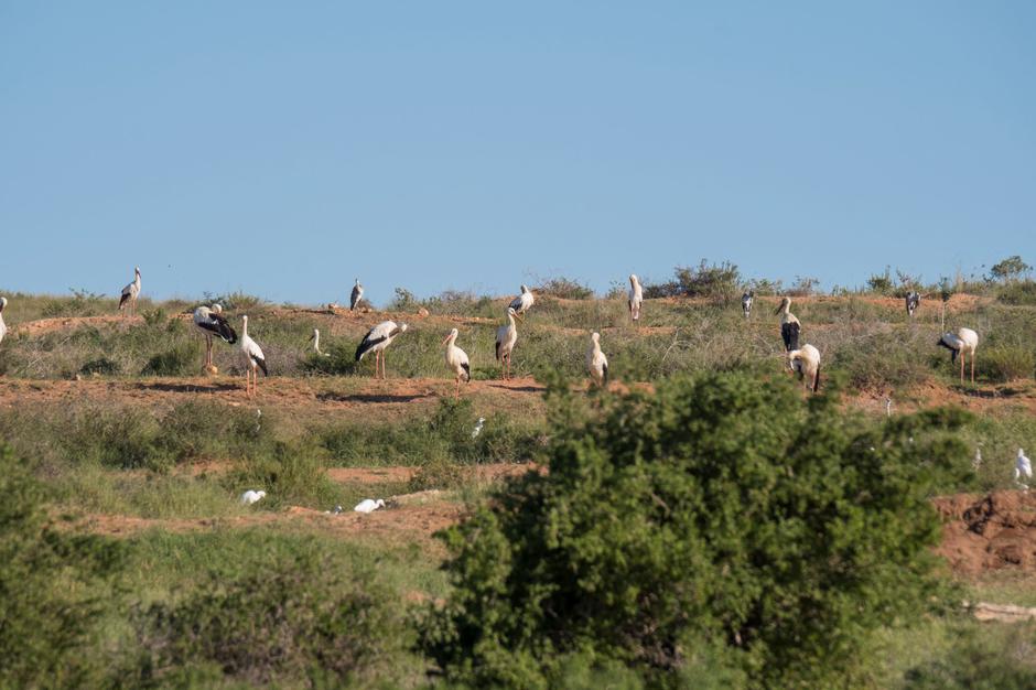  | Avtor: Tilen Basle, DOPPS