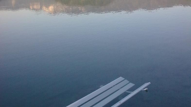 Klopi, ki so jih neznani vandali prejšnji konec tedna zmetali v Blejsko jezero, 