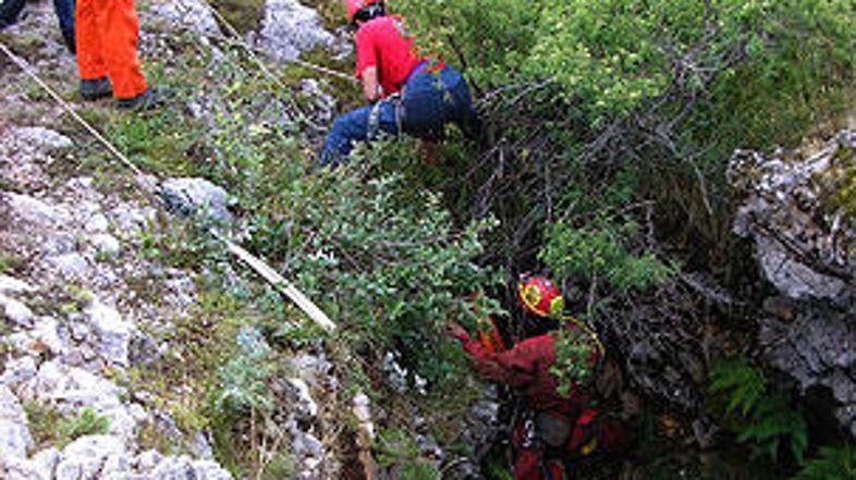 Možnosti za rešitev psov so zelo majhne