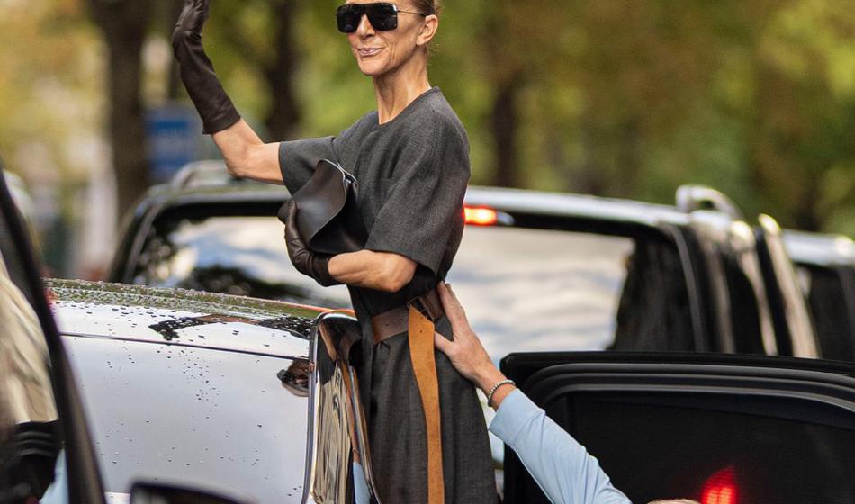 Foto: Ganljivo, kako varnostnik pomaga Celine Dion